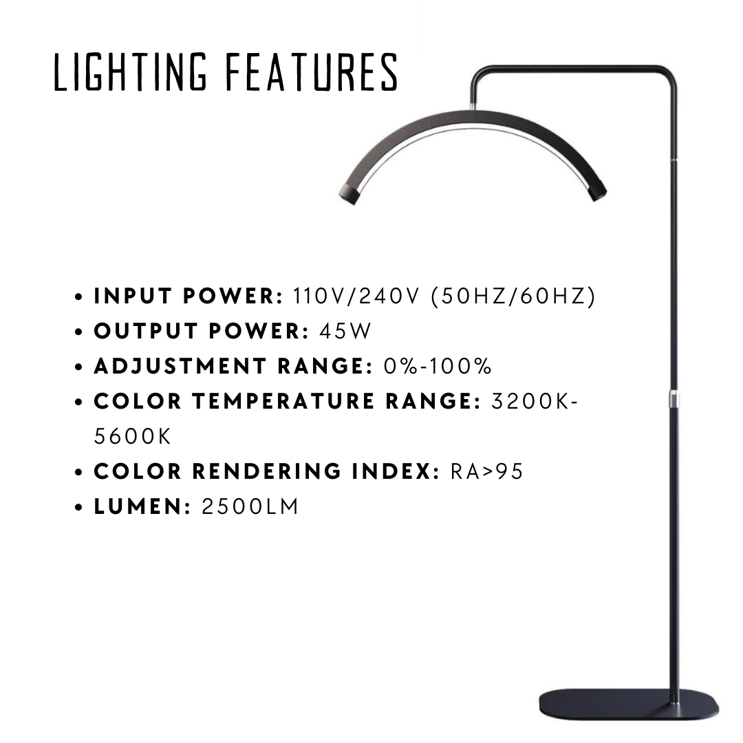 28" Lash LED Half Moon LED Ring Light / Lash Light with Phone Holder - LP Replenish