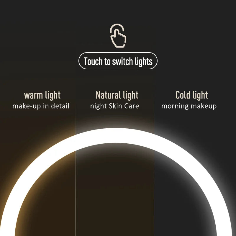 Lighted makeup mirror with adjustable LED lighting options (warm, cool, natural) and a large viewing surface for applying makeup comfortably.