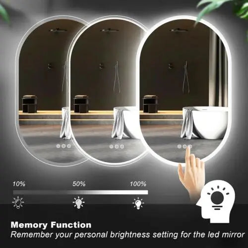 Oval Backlit Bathroom Vanity Mirror with Demister Pad - LP Replenish