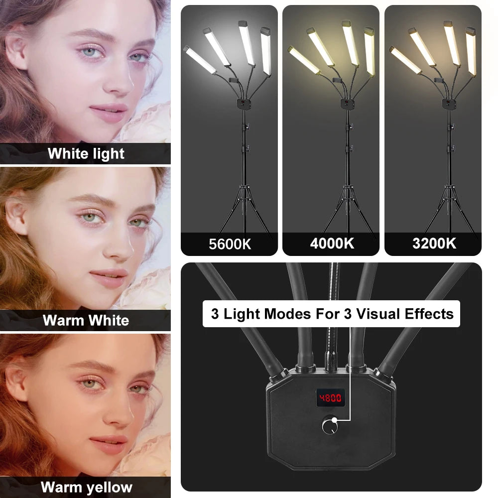 Four Arm Fill LED Lighting Kit - LP Replenish