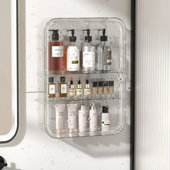 Wall-Mounted Clear Makeup Organizer