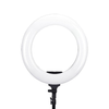18" LED Ring Light with Phone Holder - LP Replenish