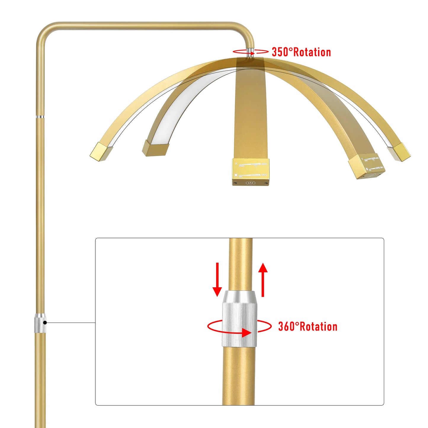 Gold LED Half Moon Shaped Lash Light with Floor Tripod