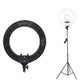 PRO Artist Starter Kit - Lumina Pro USA -
